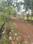 KONCHOWKI HOUSING SOCIETY Internal Roads 1