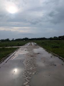 Image of 1440 Sq.ft Residential Plot / Land for sale in Swapnabhumi, New Town, Kolkata for Rs. 4224211