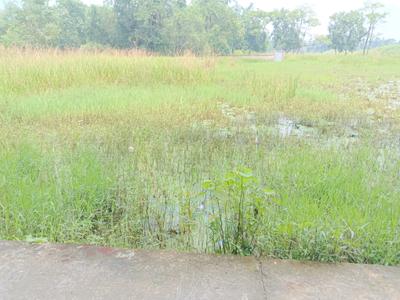 Residential Plot