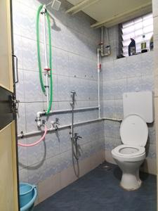 Common Bathroom One Image of 650 Sq.ft 1 BHK Apartment / Flat for rent in KNK Yashshree, Kondhwa Budruk Pune for Rs. 14000