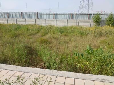 Image of 1449 Sq.ft Residential Plot / Land for sale in Farukh Nagar, Gurgaon for Rs. 16100000