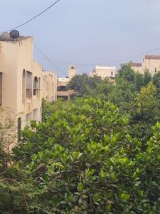 Image of 700 Sq.ft 1 BHK Apartment / Flat for rent in Ganga Garden, Mundhwa, Pune for Rs. 20000