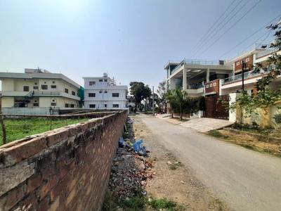 IIP Plot View 3