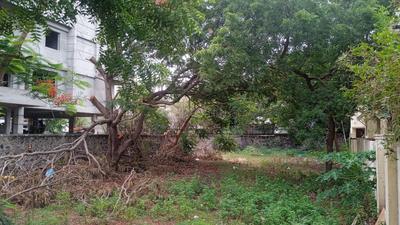 Image of 6000 Sq.ft Residential Plot / Land for sale in Neelankarai, Chennai for Rs. 95000000