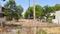Shekinah Main Image 1