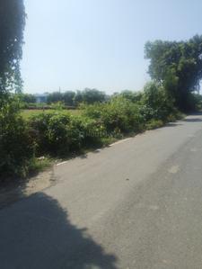 Image of 950 Sq.ft Residential Plot / Land for sale in Haldwani, Nainital for Rs. 3500000