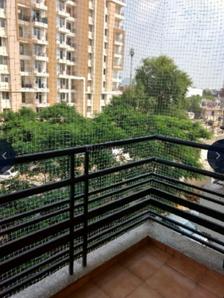 Balcony Image of 1100 Sq.ft 2 BHK Apartment / Flat for rent in AASHISH Acacia, Jagatpura Jaipur for Rs. 30000