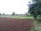 Punade Plot View 2