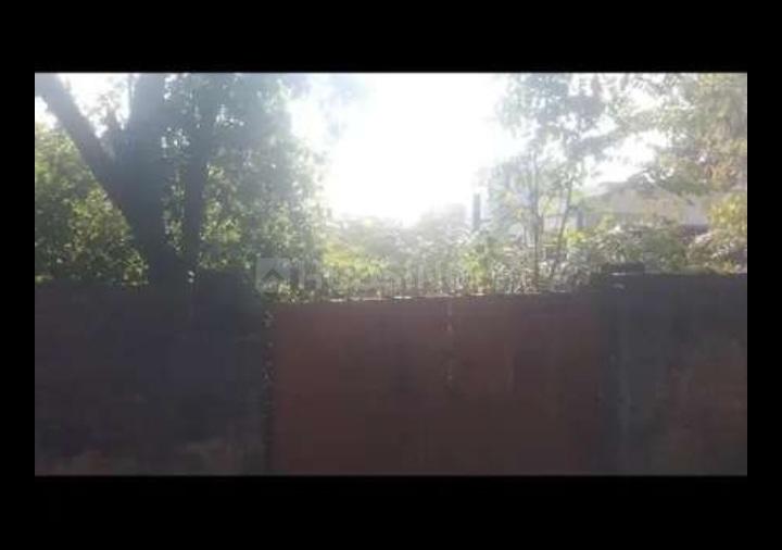 Pach Pedia Main Image 1