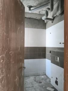 Common Bathroom Image of 5675 Sq.ft 5 BHK Apartment / Flat for sale in Spring Homes, Noida Extension Greater Noida for Rs. 42000000