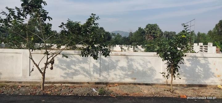 Charan Hill View Meadow Main Image 1