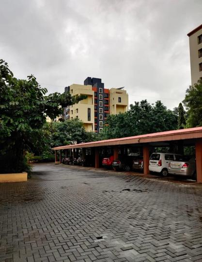 Pristine Zircon Main Image 1