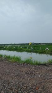 Image of 50 Sq.ft Residential Plot / Land for sale in Silani, Gurgaon for Rs. 750000