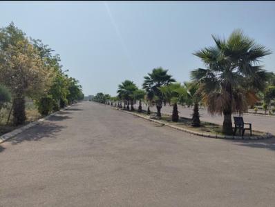 Image of 1386 Sq.ft Residential Plot / Land for sale in Microtek Palm Drive, Sector 3, Bahadurgarh for Rs. 12500000