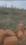 Badaraghunathpur Main Image 1