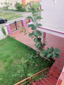 Balcony Image of 1450 Sq.ft 2 BHK Villa for sale in Thudiyalur Coimbatore for Rs. 9500000
