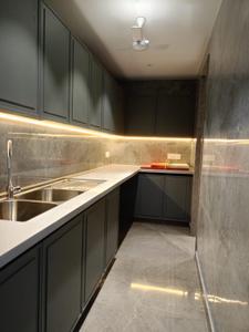 Kitchen Image of 4500 Sq.ft 4 BHK Builder Floor for sale in West End New Delhi for Rs. 268500000