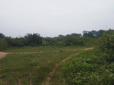 Image of 5222 Sq.ft Residential Plot / Land for sale in Sector-6/C, Bokaro for Rs. 200000