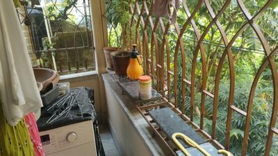 Balcony Image of 750 Sq.ft 2 BHK Apartment / Flat for rent in Dum Dum Park Kolkata for Rs. 11000