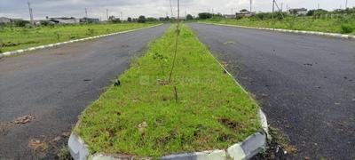 Images without DQ approval