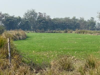 Image of 20880 Sq.ft Residential Plot / Land for sale in Hinauni, Varanasi for Rs. 12000000