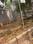 Lokmanya Colony Plot View 2