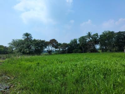 Image of 720 Sq.ft Residential Plot / Land for sale in Natures Paradise, Joka, Kolkata for Rs. 224998