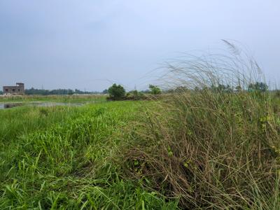 Diamond Park Plot View 1
