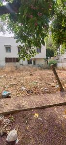 7th Phase Plot View 3
