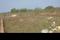 Patharagadia Plot View 2