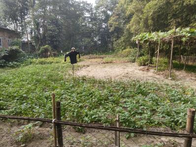 Image of 13896 Sq.ft Residential Plot / Land for sale in Sondha, Nalbari for Rs. 3000000