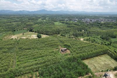 Image of 20400 Sq.ft Residential Plot / Land for sale in Biharigarh, Saharanpur for Rs. 50000000