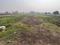 Danapur Plot View 2