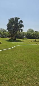 Image of 272 Sq.ft Residential Plot / Land for sale in Bavla, Ahmedabad for Rs. 1860000