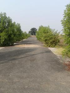 Image of 1250 Sq.ft Residential Plot / Land for sale in Bodri, Bilaspur for Rs. 1500000