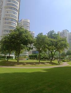 Image of 2200 Sq.ft 3 BHK Apartment / Flat for sale in Emaar MGF The Palm Drive, Sector 66, Gurgaon for Rs. 45000000