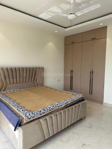 Bedroom Image of 835 Sq.ft 2 BHK Apartment / Flat for rent in Gillco Palms, Sector 115 Mohali for Rs. 24500
