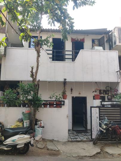 Pardi Main Image 1