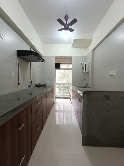 LD Viceroy Main Image 1