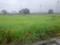 Mhow Plot View 2