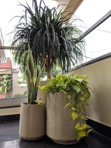 Balcony Image of 4000 Sq.ft 4 BHK Apartment / Flat for rent in RMZ Latitude, Byatarayanapura Bengaluru for Rs. 250000