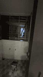 Image of 950 Sq.ft 2 BHK Apartment / Flat for rent in Swagat Clifton, New Althan, Surat for Rs. 35000