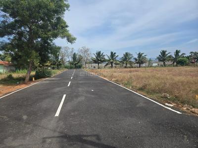 Residential Plot