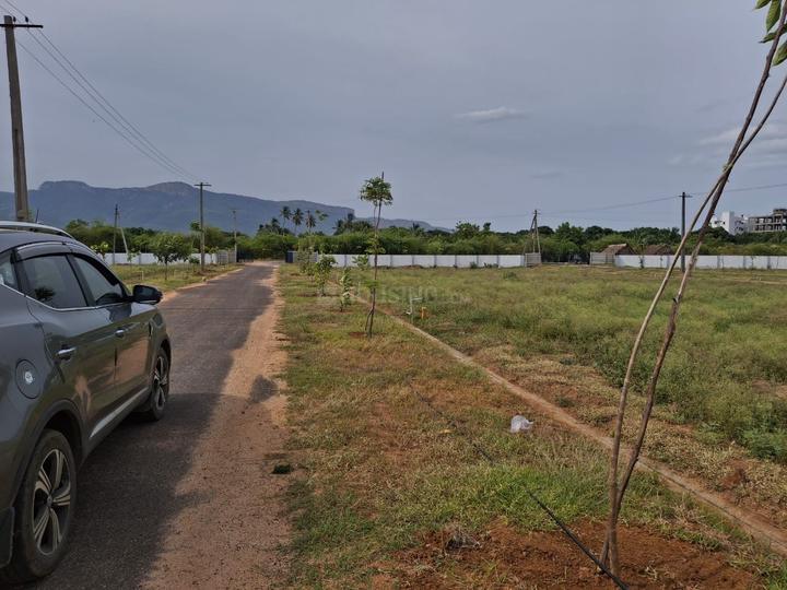 Tirupati  Main Image 1