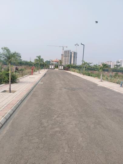 Skywhales Vienna Greens Main Image 1