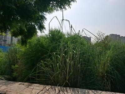 Freehold Plots Suitable For Builders Floor Appartments Plot View 3