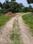 Natures Paradise Internal Roads 2