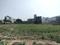 Sector 76 Plot View 2