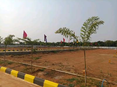 Shadnagar Plot View 2