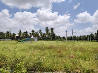 Residential Plot